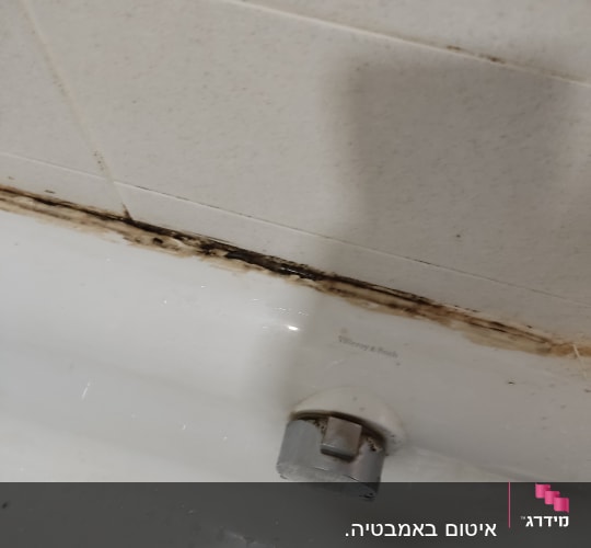 ברז אמבטיה עם כתמי עובש על הקיר